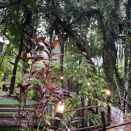 Khaosok Farmstay Khao Sok National Park Экстерьер фото