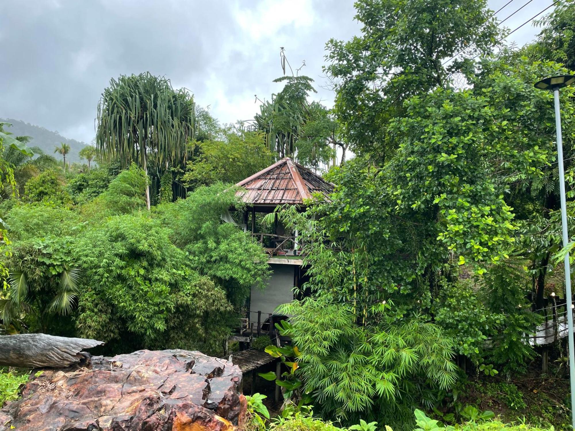 Khaosok Farmstay Khao Sok National Park Экстерьер фото