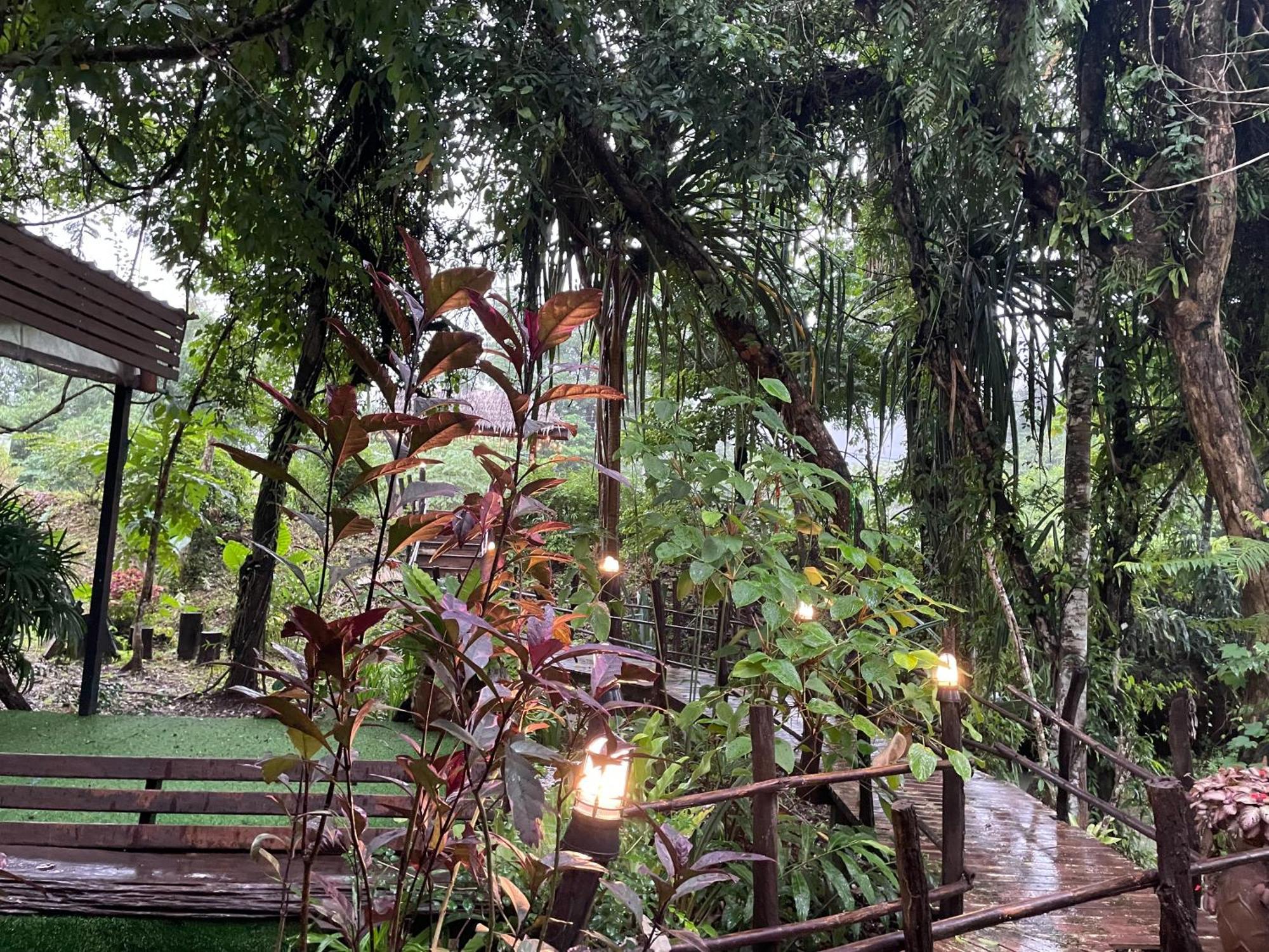 Khaosok Farmstay Khao Sok National Park Экстерьер фото