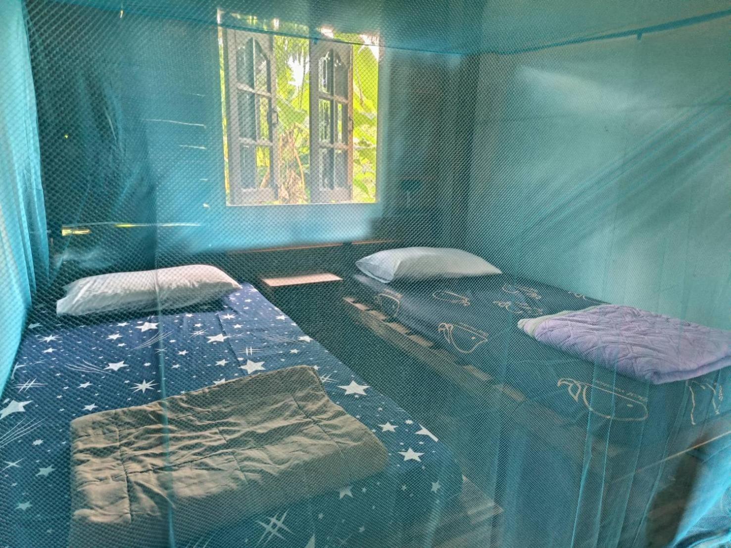 Khaosok Farmstay Khao Sok National Park Экстерьер фото